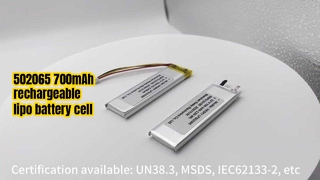 Wiederaufladbarer Akku LP502065 3,7 V 700 mAh Lipo-Akkuzelle mit 10 K NTC