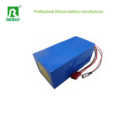 48V 20ah 1000W Lithiumbatterie für Elektrofahrzeuge